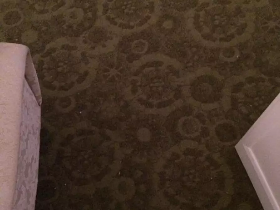 Immagine 14 di Appartamento   a Empoli