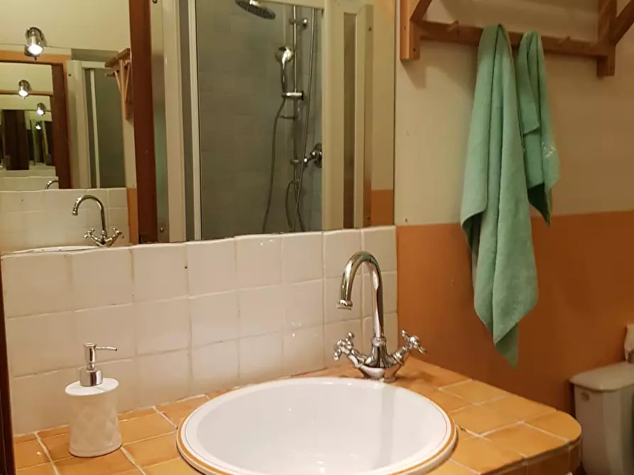 Immagine 8 di Appartamento in affitto  a Capraia E Limite