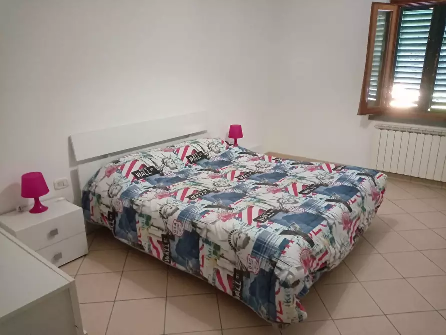 Immagine 3 di Appartamento in affitto  a Vinci