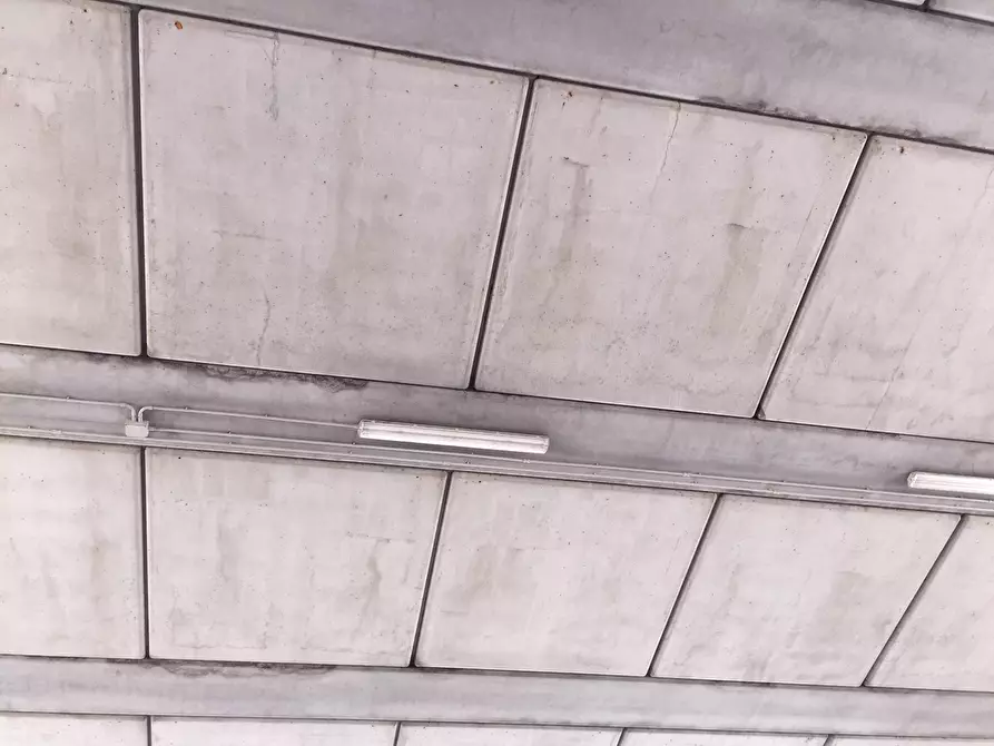 Immagine 5 di Attività commerciale in affitto  a San Miniato