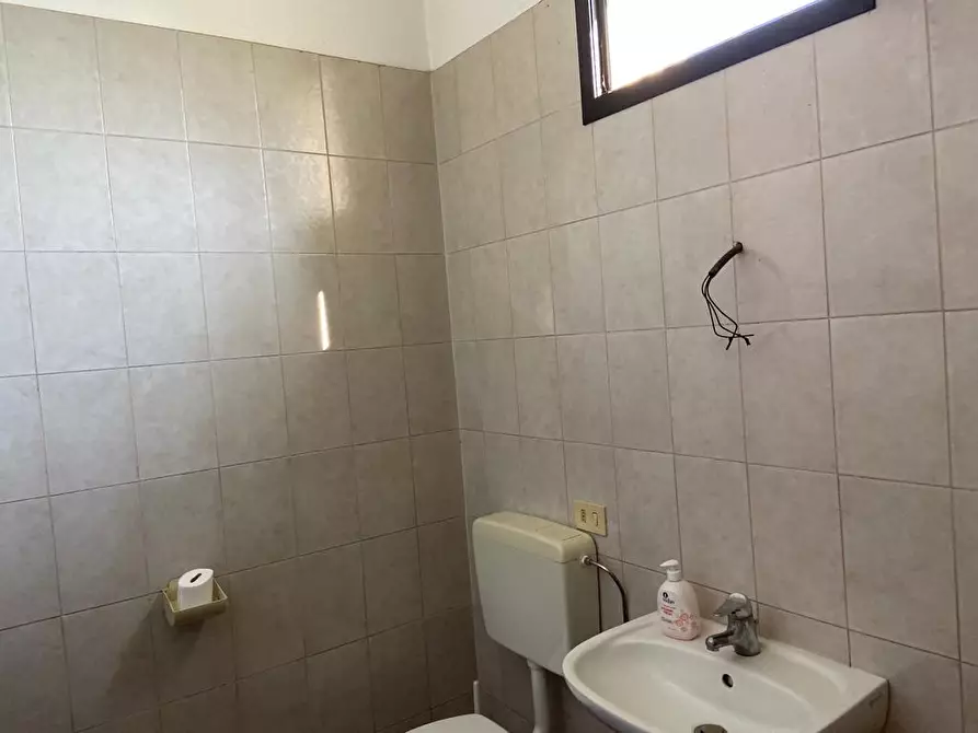 Immagine 4 di Capannone industriale in affitto  a Capraia E Limite