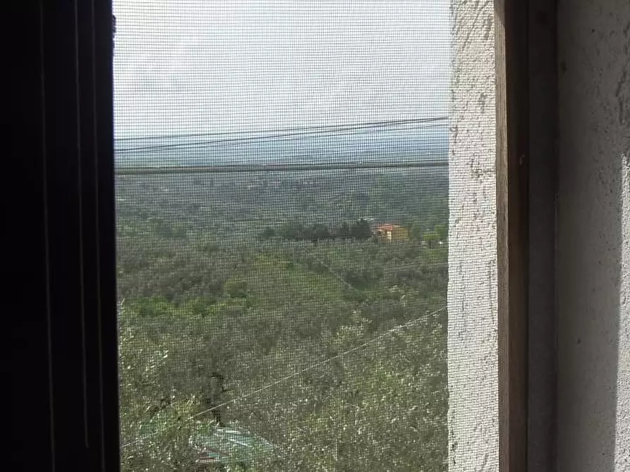 Immagine 15 di Appartamento in affitto  a Vinci