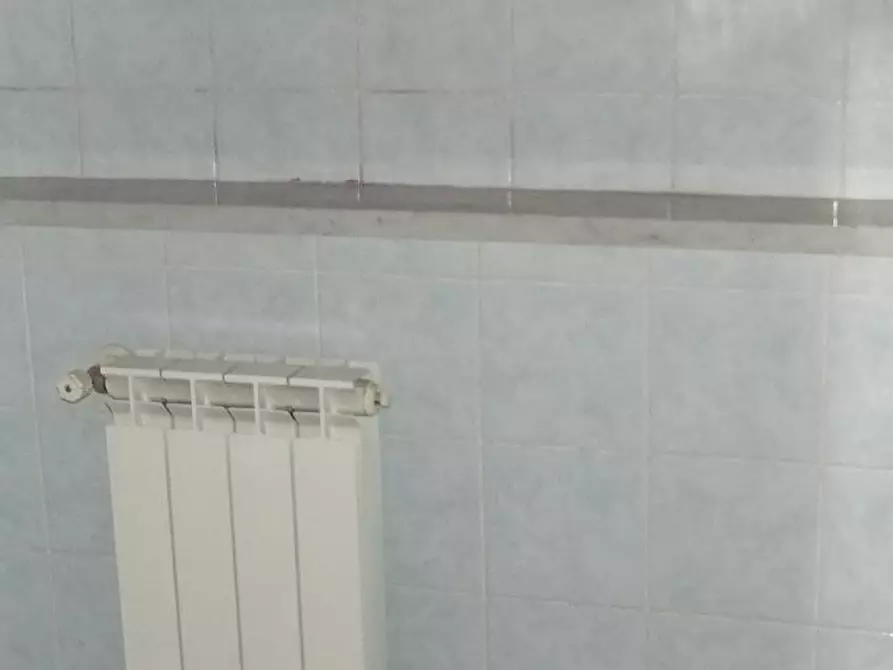 Immagine 10 di Appartamento in affitto  a Vinci