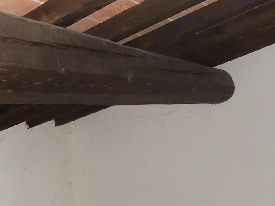 Immagine 14 di Appartamento in affitto  a Vinci