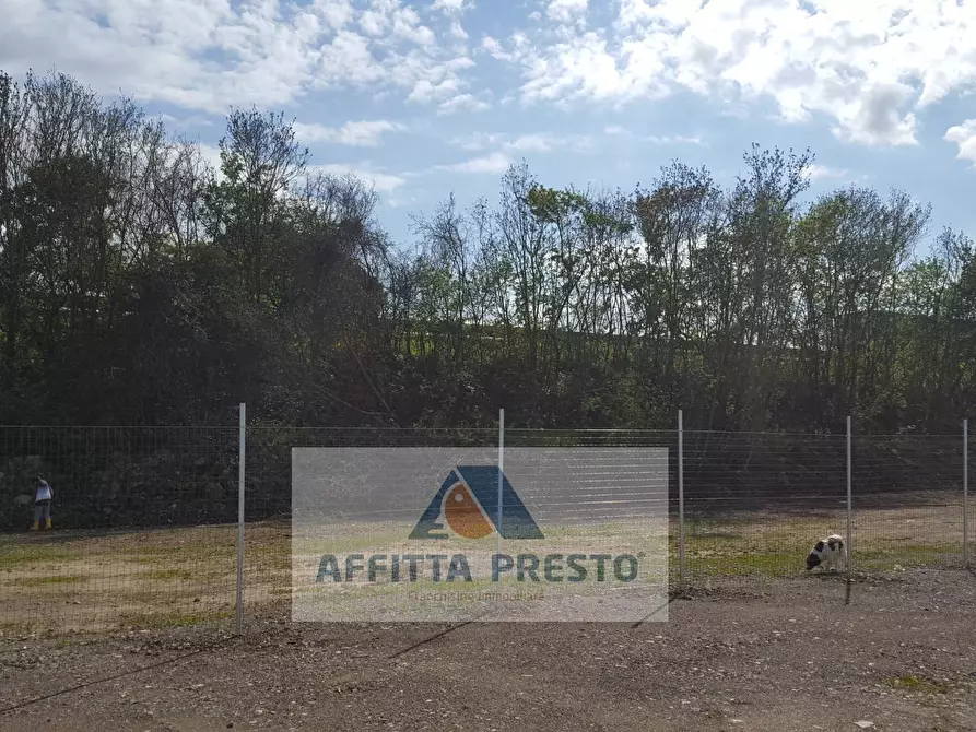 Immagine 3 di Magazzino in affitto  a Empoli