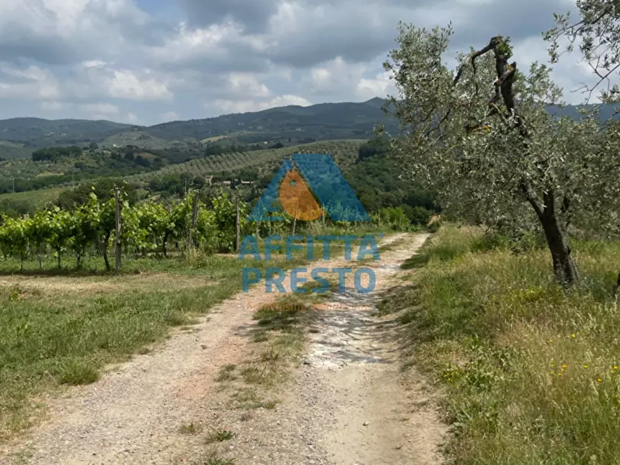 Immagine 4 di Terreno agricolo in vendita  a Vinci