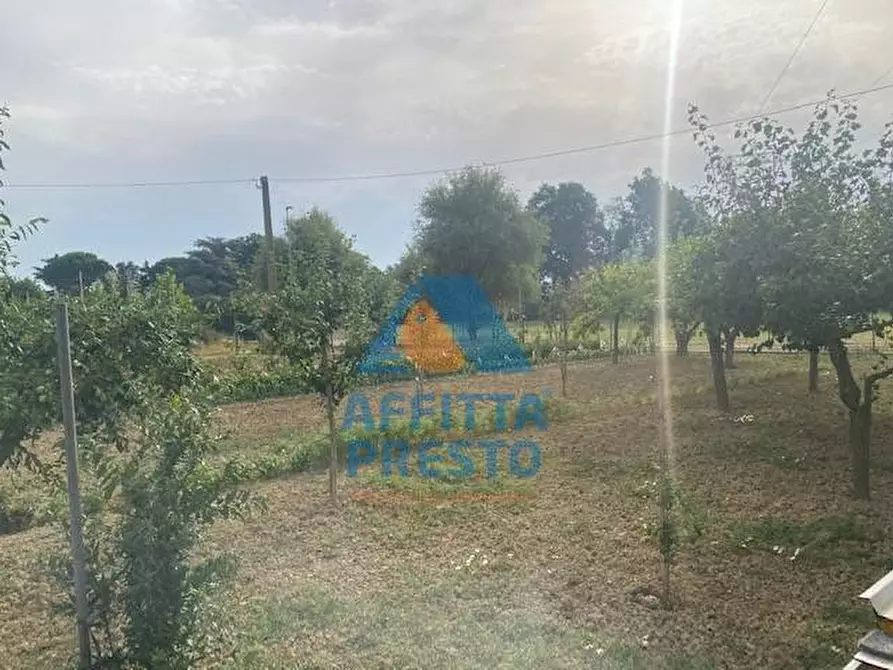 Immagine 1 di Terreno agricolo in vendita  a Empoli
