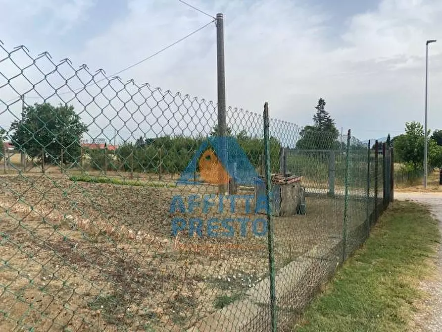 Immagine 3 di Terreno agricolo in vendita  a Empoli
