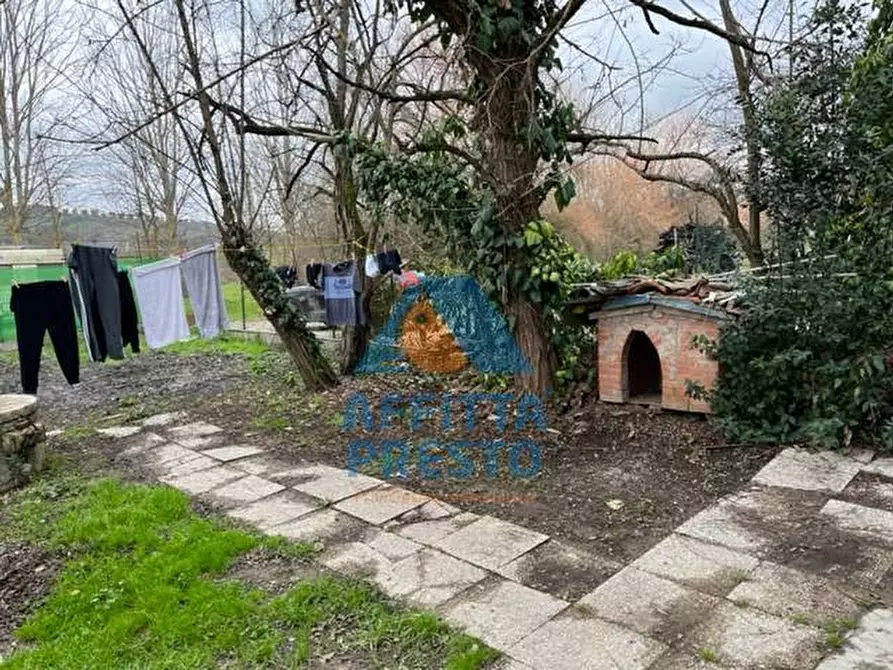 Immagine 22 di Appartamento in affitto  a Capraia E Limite