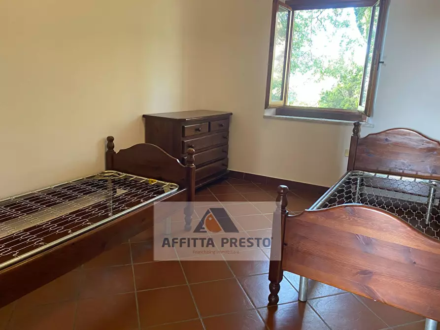 Immagine 10 di Appartamento in affitto  a Capraia E Limite