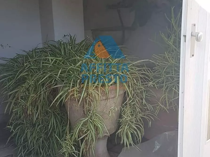 Immagine 20 di Casa indipendente in affitto  a Empoli