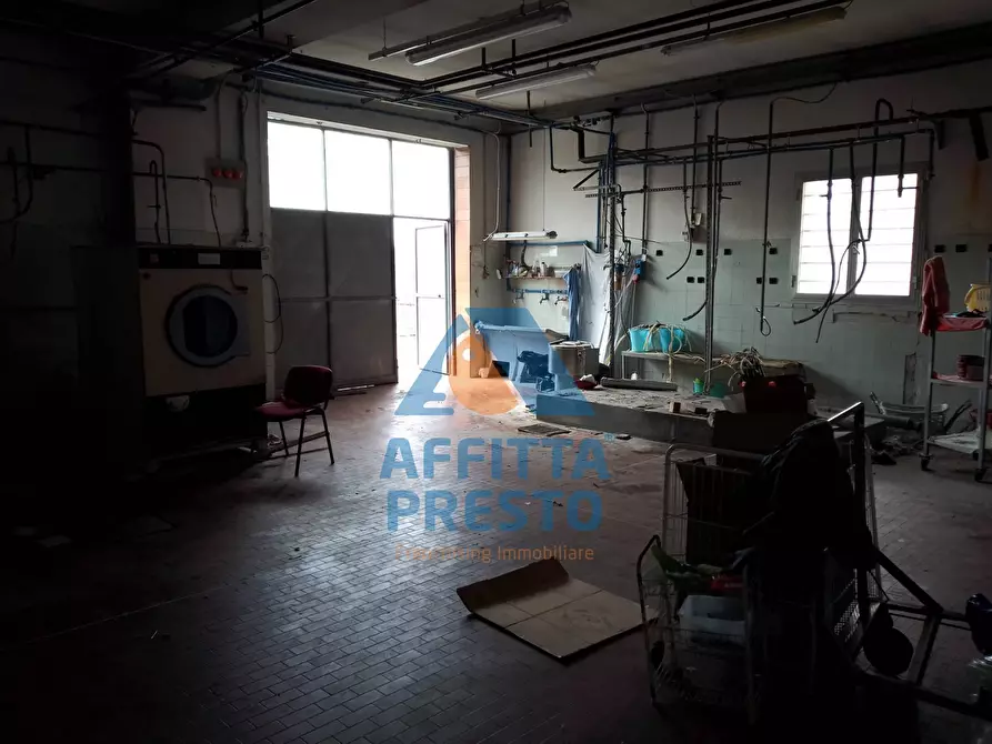 Immagine 17 di Attività commerciale in vendita  a Capraia E Limite