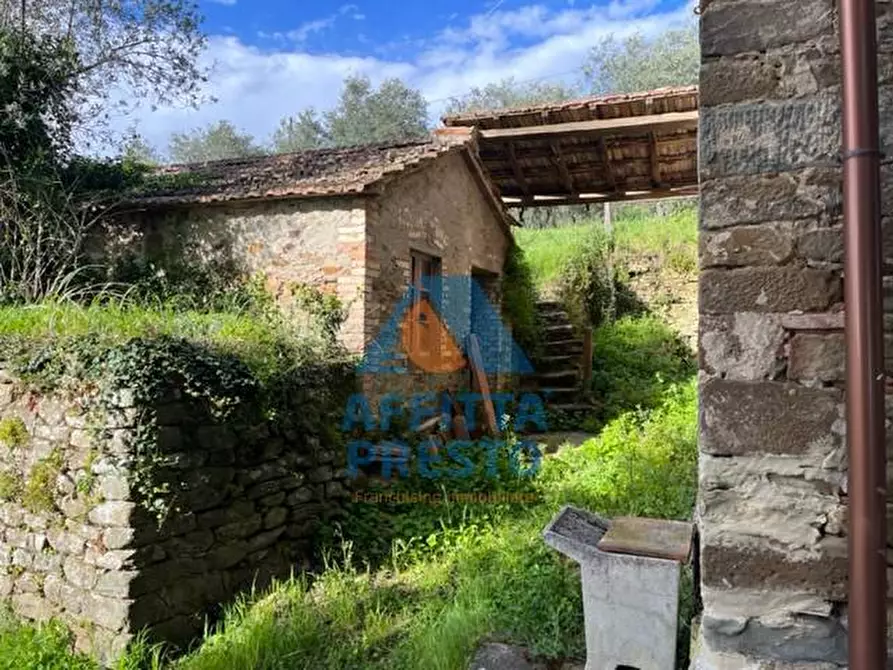 Immagine 15 di Casa indipendente in vendita  a Vinci