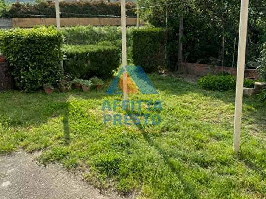 Immagine 10 di Appartamento in affitto  a Empoli