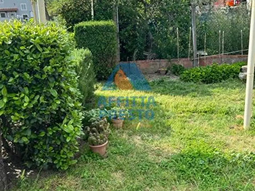 Immagine 14 di Appartamento in affitto  a Empoli