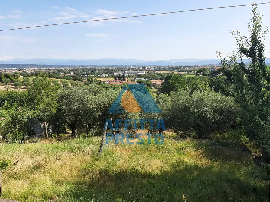 Immagine 3 di Casa indipendente in vendita  a Montopoli In Val D'arno