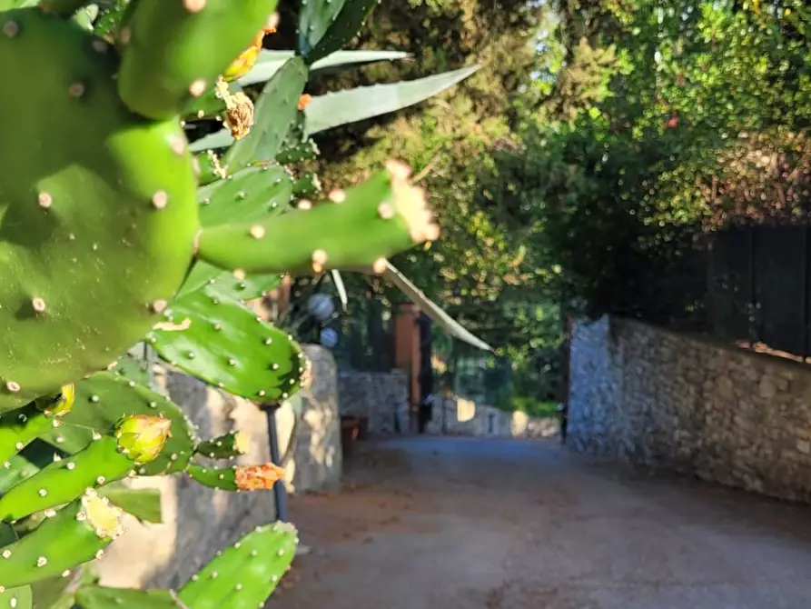 Immagine 15 di Villetta a schiera in affitto  a Firenze