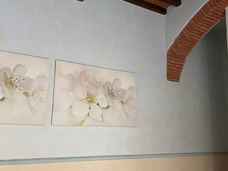 Immagine 4 di Ufficio in affitto  a Santa Croce Sull'arno