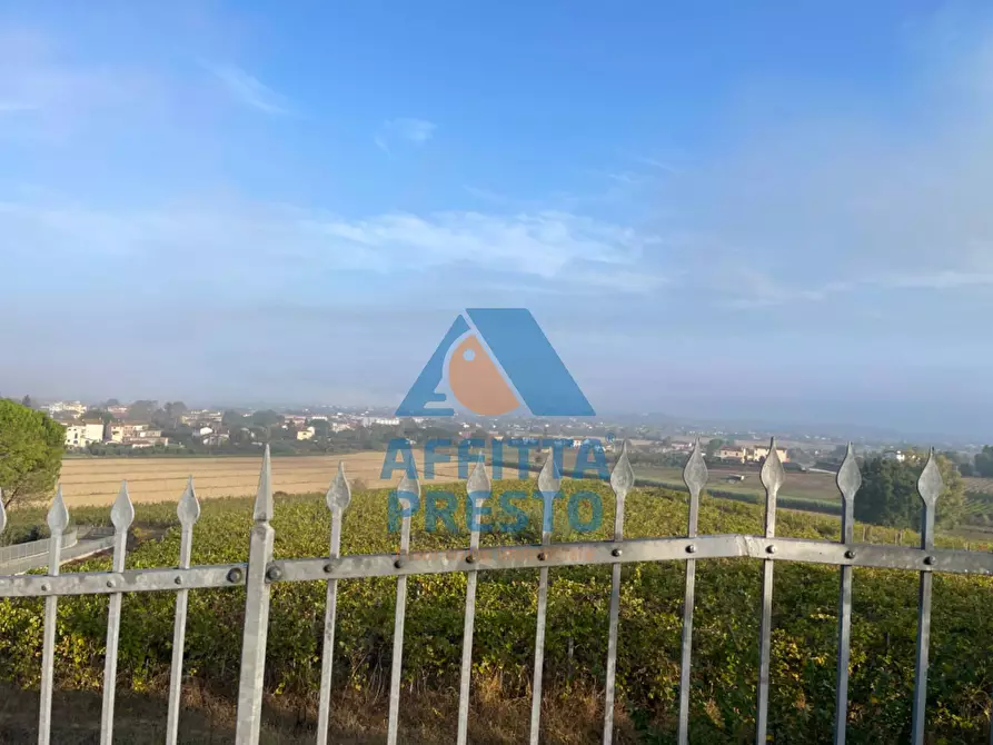 Immagine 3 di Villetta a schiera in vendita  a San Miniato