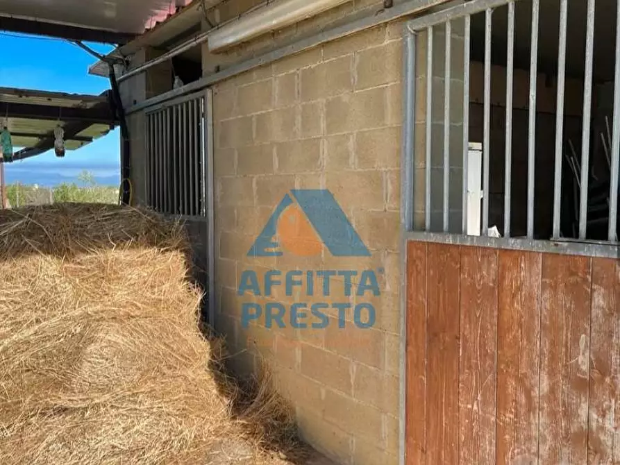 Immagine 2 di Terreno agricolo in vendita  a Montopoli In Val D'arno