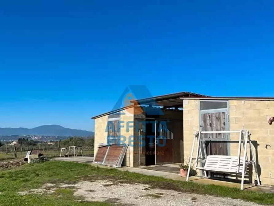 Immagine 3 di Terreno agricolo in vendita  a Montopoli In Val D'arno