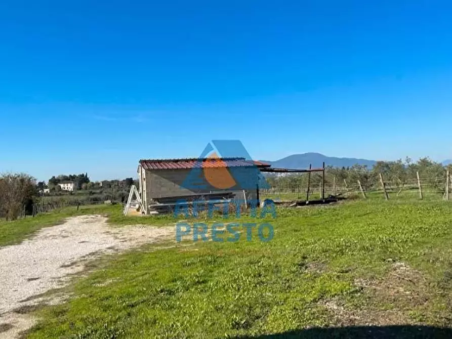 Immagine 4 di Terreno agricolo in vendita  a Montopoli In Val D'arno