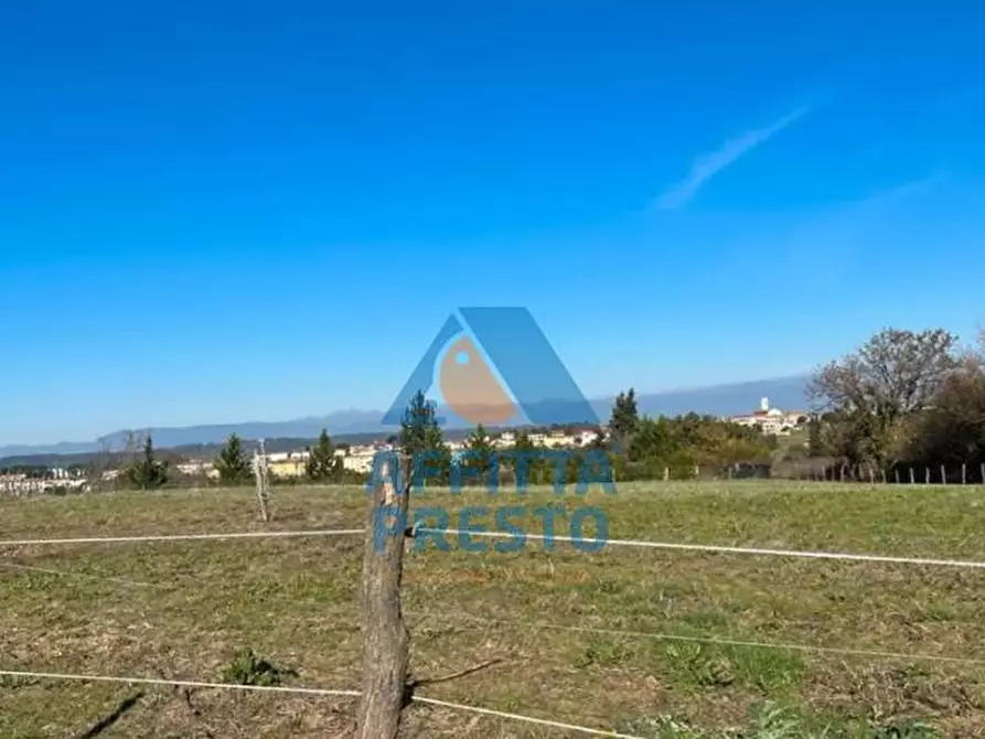 Immagine 5 di Terreno agricolo in vendita  a Montopoli In Val D'arno