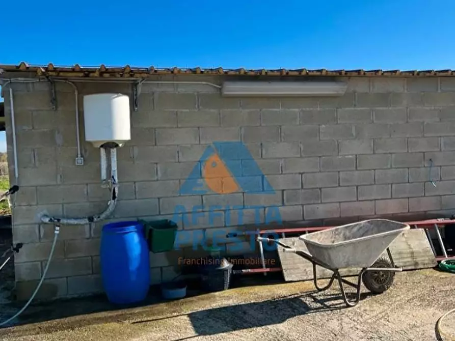 Immagine 6 di Terreno agricolo in vendita  a Montopoli In Val D'arno