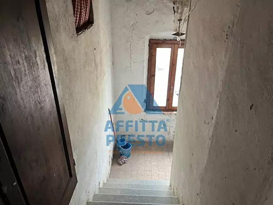 Immagine 20 di Appartamento in affitto  a Montespertoli