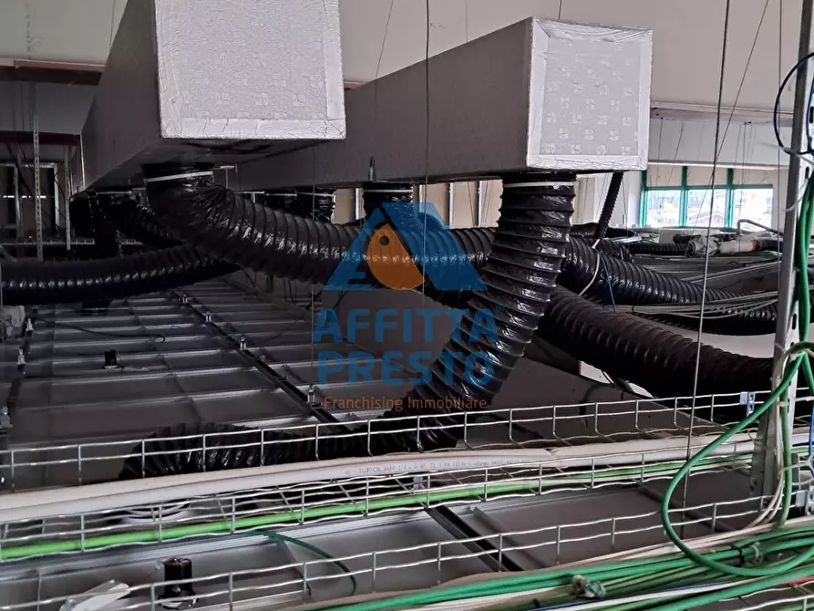 Immagine 36 di Attività commerciale in affitto  a Massa E Cozzile