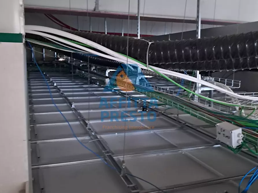 Immagine 38 di Attività commerciale in affitto  a Massa E Cozzile