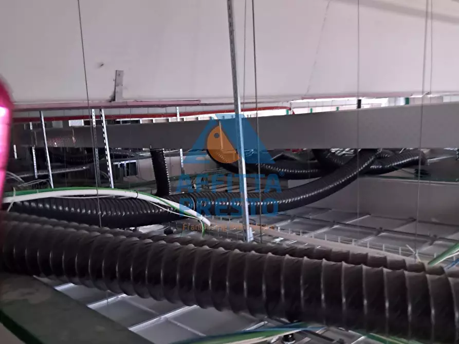 Immagine 40 di Attività commerciale in affitto  a Massa E Cozzile