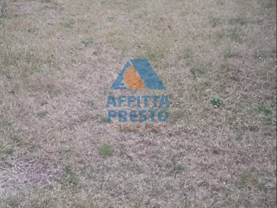 Immagine 8 di Appartamento in affitto  a Fucecchio