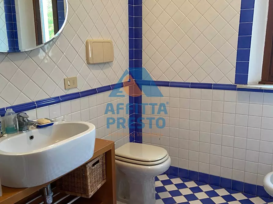 Immagine 8 di Casa indipendente in affitto  a Lamporecchio