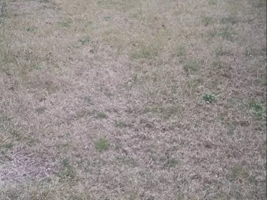 Immagine 6 di Appartamento in affitto  a Fucecchio