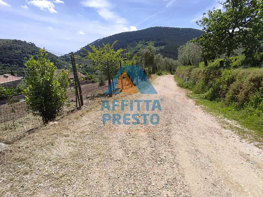 Immagine 2 di Terreno agricolo in vendita  a Buti