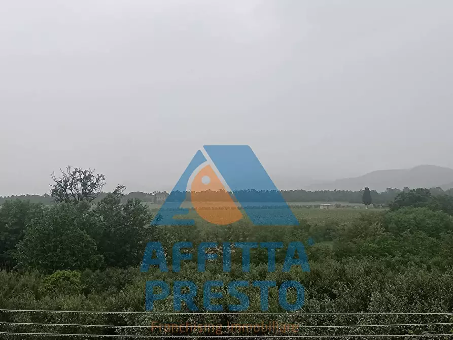 Immagine 3 di Appartamento in vendita  a Lamporecchio