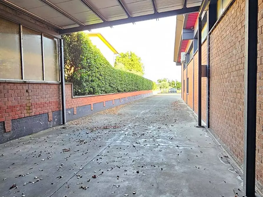 Immagine 1 di Capannone industriale in affitto  a Montecatini Terme