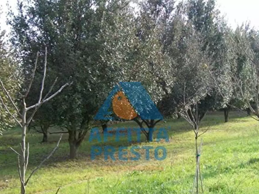 Immagine 3 di Terreno agricolo in vendita  a Empoli