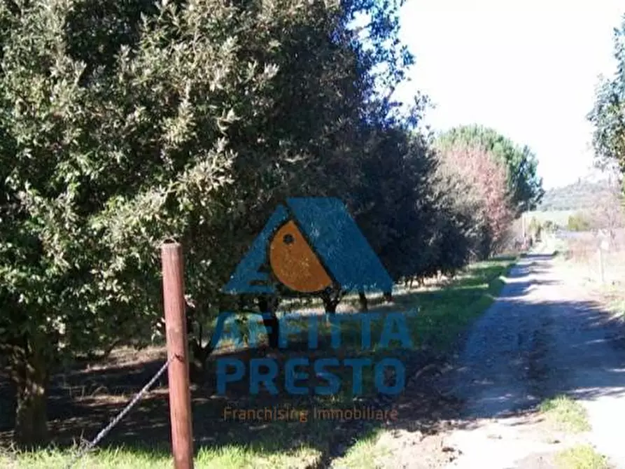 Immagine 4 di Terreno agricolo in vendita  a Empoli