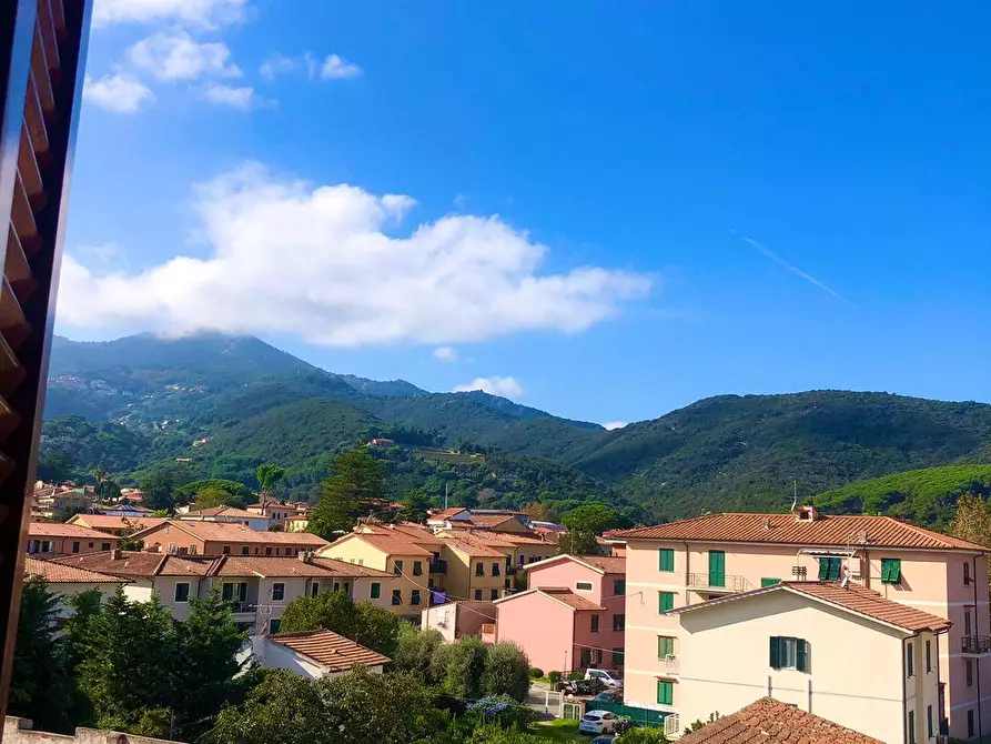 Immagine 3 di Appartamento in vendita  a Marciana Marina