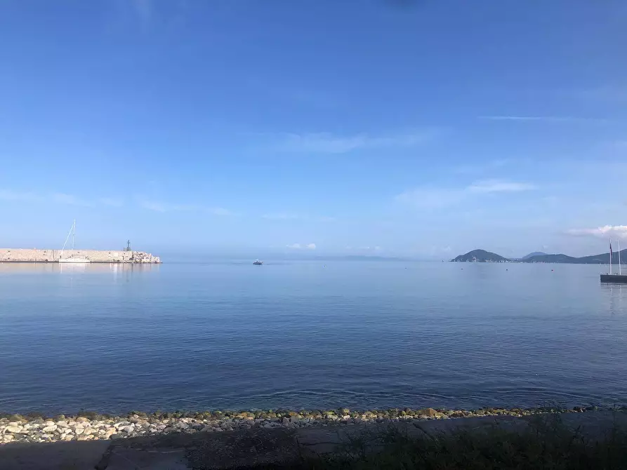 Immagine 8 di Appartamento in vendita  a Marciana Marina