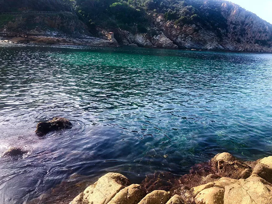 Immagine 9 di Appartamento in vendita  a Marciana Marina