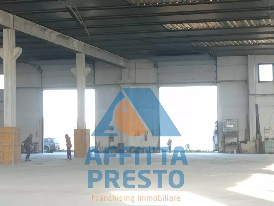 Immagine 4 di Magazzino in affitto  a Piombino