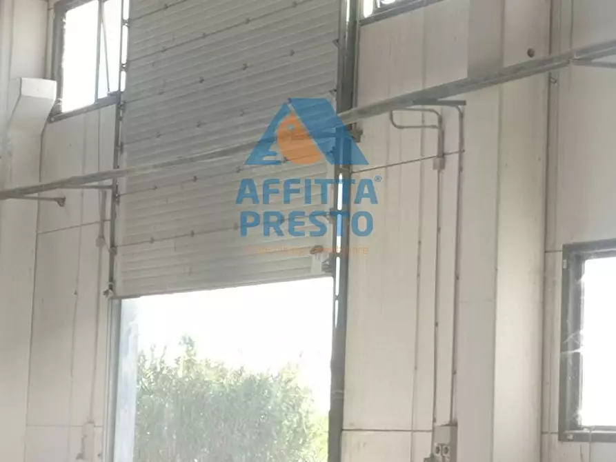 Immagine 3 di Magazzino in affitto  a Piombino