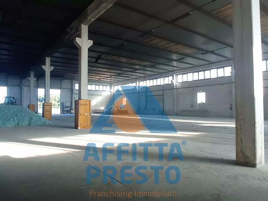 Immagine 6 di Magazzino in affitto  a Piombino