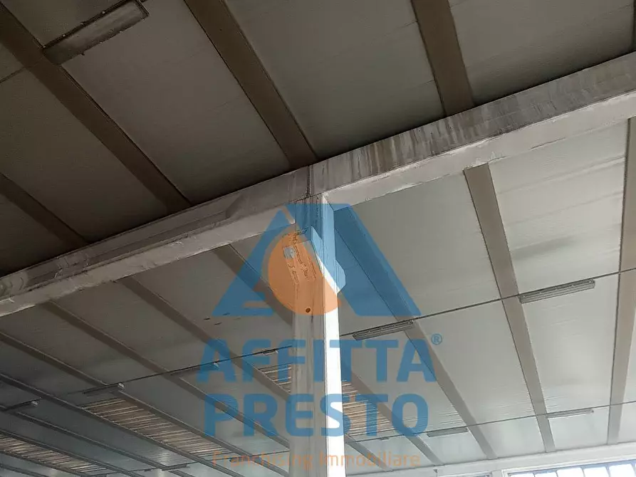 Immagine 8 di Magazzino in affitto  a Piombino
