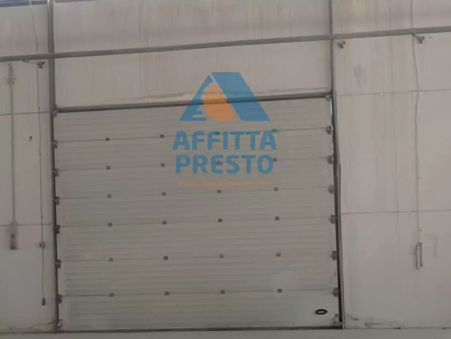 Immagine 12 di Magazzino in affitto  a Piombino