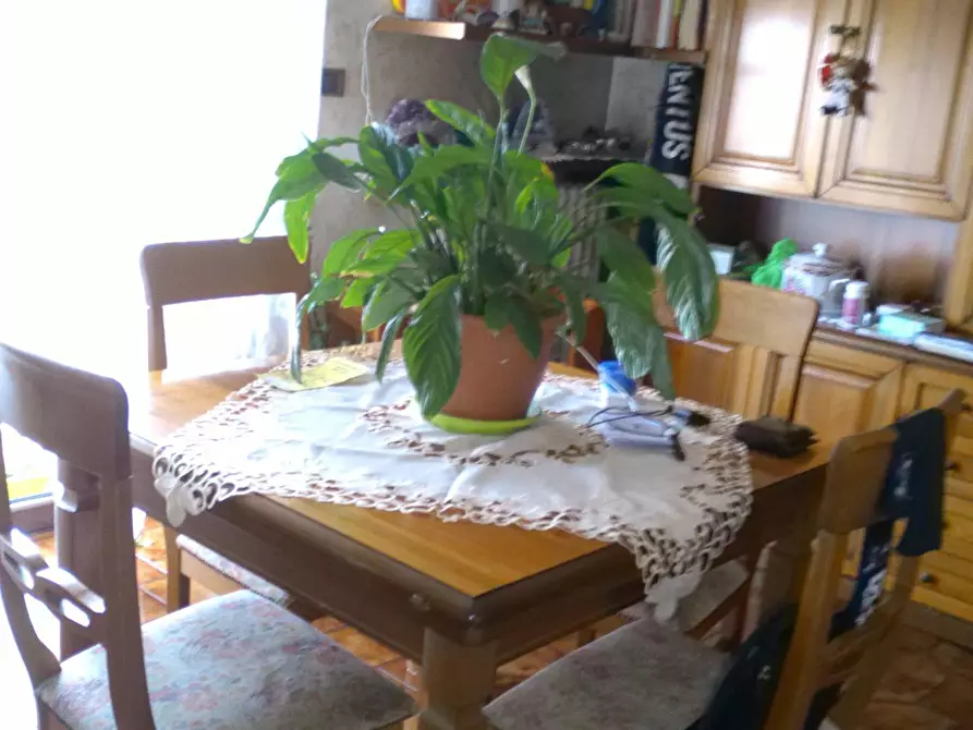 Immagine 19 di Casa indipendente in vendita  in strada Contessa 103 a Almese