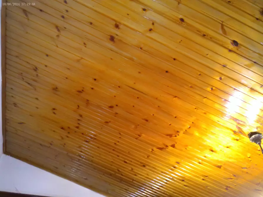 Immagine 27 di Casa indipendente in vendita  in strada Contessa 103 a Almese